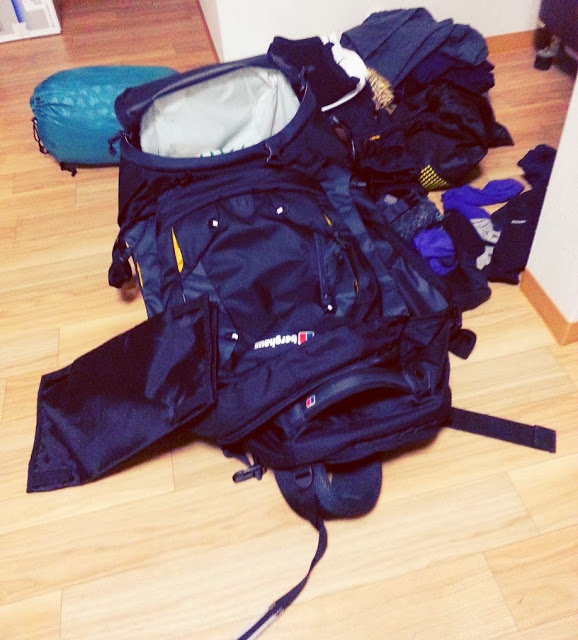 2014-02-14-02-47-01_deco