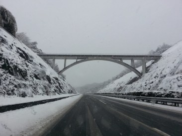 2014-03-03-02-04-04_deco